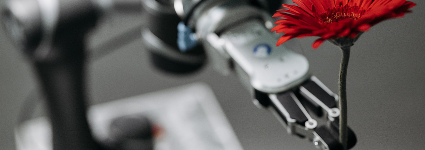 Umfrage: Künstliche Intelligenz in deutschen Unternehmen